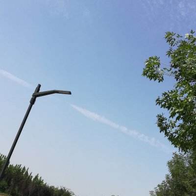 熊猫人必须死手游bt版下载
